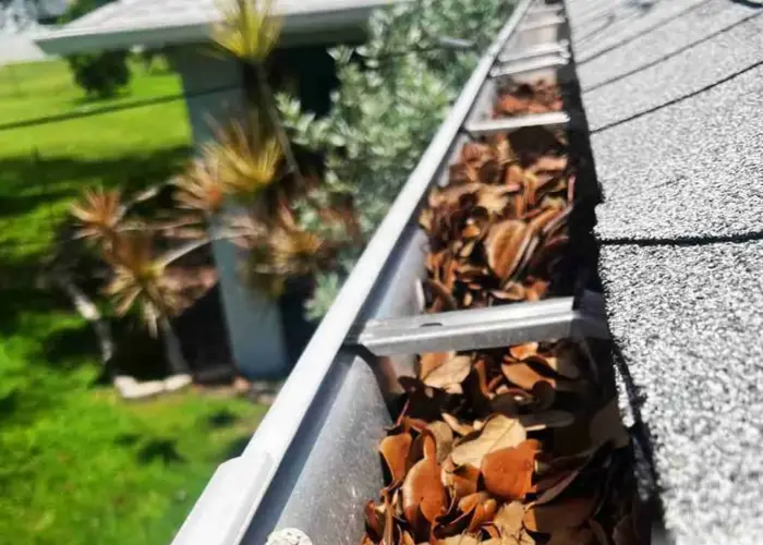 Alachua gutter cleaning home page